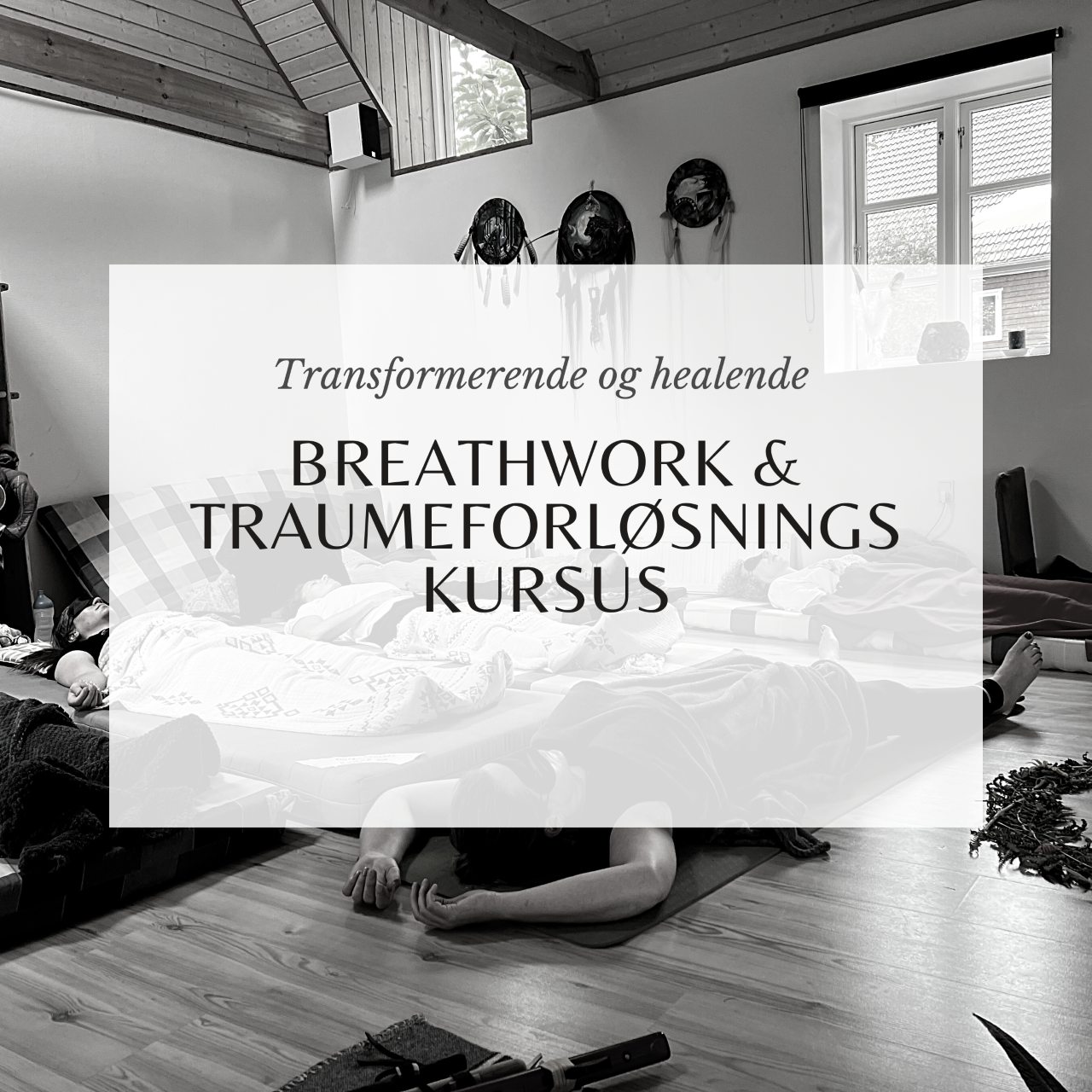 thumbnail_Kopi af Breathwork & Traumekursus